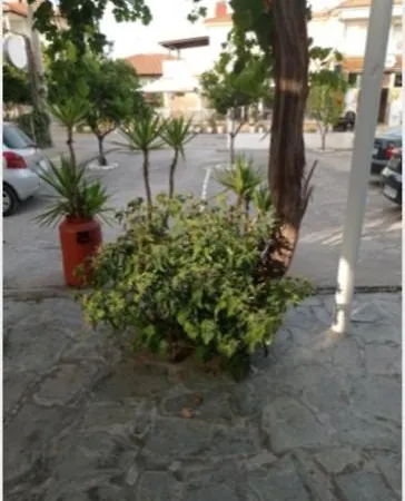Roula's House Νικήτη